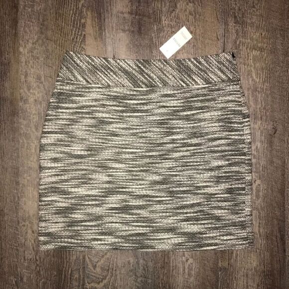 Ann Taylor Loft Skirt- 6 Petite - Picture 1 of 3